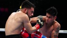 Boxeo