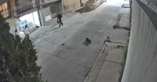 Restos óseos hallados en Cumbres