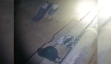 Los primos de 12 y 8 años dijeron que iban a la tienda y en la búsqueda porque no regresaban encontraron sus prendas junto a la pileta