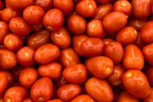 Tomate Saladette