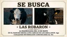 Violencia 