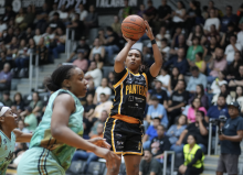 PANTERAS VS ABEJAS 2026