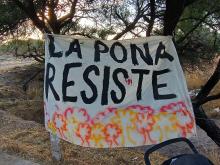 Salvemos La Pona, La Pona resiste