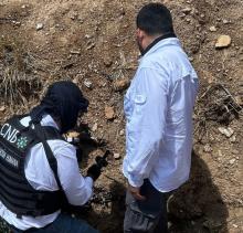 Tras reporte anónimo, autoridades localizan fosa con restos en Pabellón de Arteaga