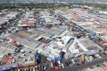 ORDENAN EL AGROPECUARIO