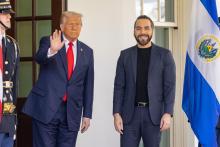 Donald Trump y Nayib Bukele