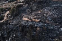 Incendio forestal