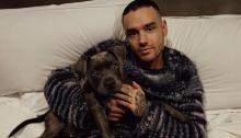 Amigo de Liam Payne queda exonerado en el caso por la muerte del cantante