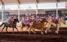 Feria del Caballo