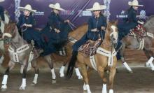 Palomas de Aguascalientes