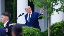 TRUMP