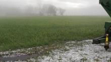 Lluvias han beneficiado al campo