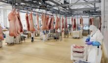 producción de carne porcina