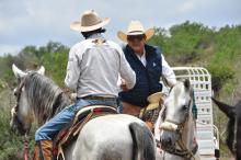 Aguascalientes será sede de la Feria Internacional del Caballo 2026: te contamos los detalles