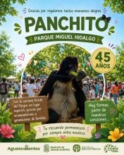 PANCHITO