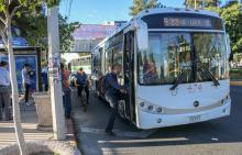 transporte gratuito