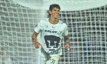 Pumas